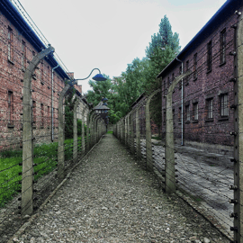 Cracovie : Excursion d'une journée à Auschwitz-Birkenau avec personnel accompagnant