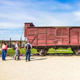 Depuis Cracovie : Visite d'Auschwitz-Birkenau avec transport