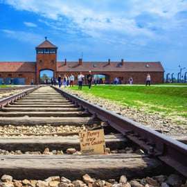Cracovie : Visite guidée d'Auschwitz Birkenau