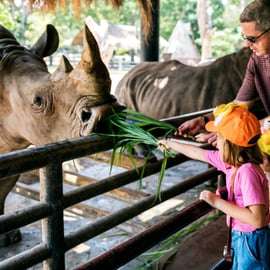 Cracovie : Zoo avec prise en charge à l'hôtel