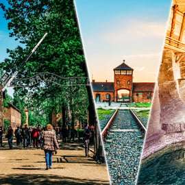 Cracovie : Auschwitz et mine de sel de Wieliczka visite guidée d'une journée