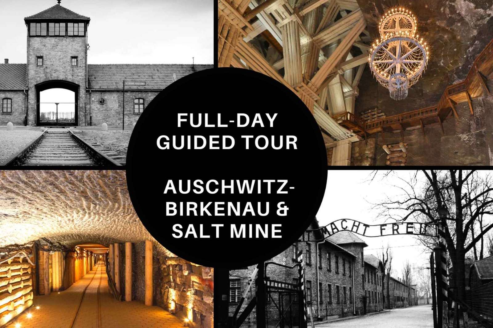 Au départ de Cracovie : Visite guidée d'Auschwitz Birkenau et de la mine de sel