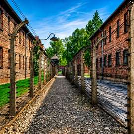 Cracovie : entrée à Auschwitz-Birkenau, hôte et transfert