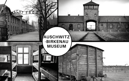 Visite guidée d'Auschwitz-Birkenau et transfert depuis Cracovie