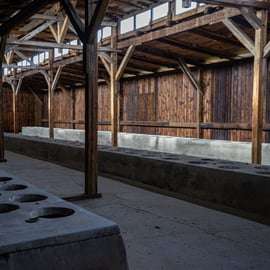 Au départ de Cracovie : Auschwitz-Birkenau : visite d'une journée guidée