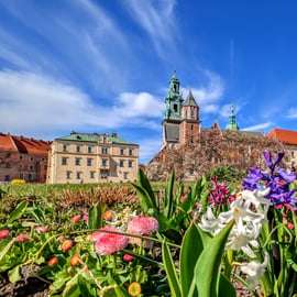 Cracovie : Visite à pied de la vieille ville et du château de Wawel en anglais