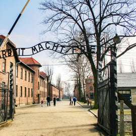 Depuis Cracovie : Visite d'Auschwitz-Birkenau avec transport