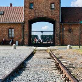 Auschwitz-Birkenau : Visite guidée - Billet + Transport