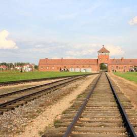Depuis Cracovie : visite guidée du mémorial d'Auschwitz-Birkenau