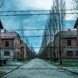 Cracovie : Auschwitz-Birkenau et mine de sel : visite guidée d'une jounée
