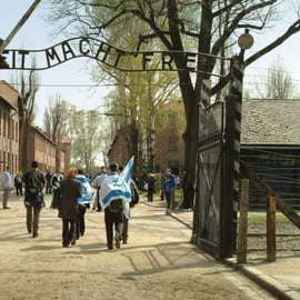 Depuis Cracovie : Visite du Mémorial et du Musée d'Auschwitz-Birkenau
