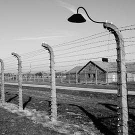 Depuis Cracovie : visite guidée d'Auschwitz-Birkenau et prise en charge à l'hôtel