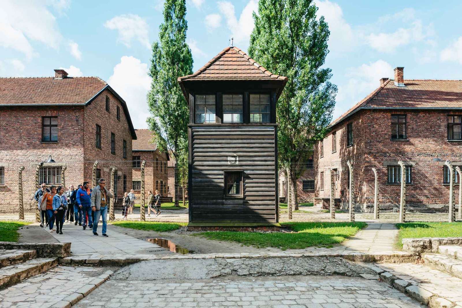 Depuis Cracovie : Visite guidée d'Auschwitz-Birkenau et options de prise en charge