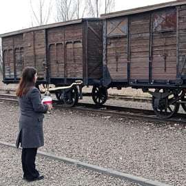 Depuis Cracovie : visite alternative du complexe d'Auschwitz