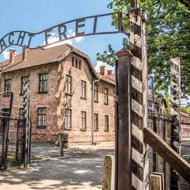 Depuis Cracovie : excursion d'une journée à Auschwitz et à la mine de sel de Wieliczka