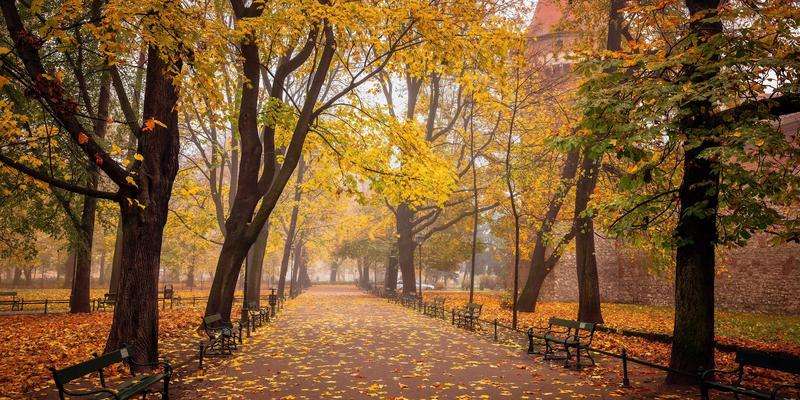 Parc Planty