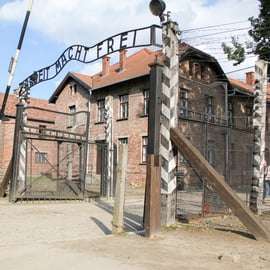 Depuis Cracovie : visite guidée du mémorial d'Auschwitz-Birkenau