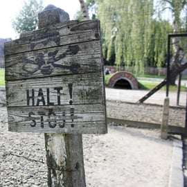 Depuis Cracovie : visite guidée du mémorial d'Auschwitz-Birkenau