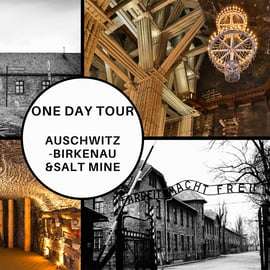 Cracovie : Visite d'Auschwitz-Birkenau et de la mine de sel en jounée guidée