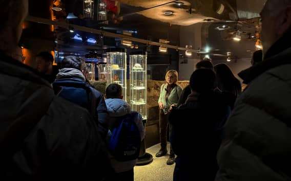 Cracovie : Visite guidée du musée souterrain Rynek