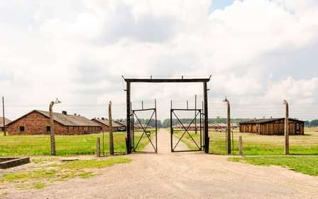 Depuis Cracovie : Visite d'Auschwitz-Birkenau avec transport