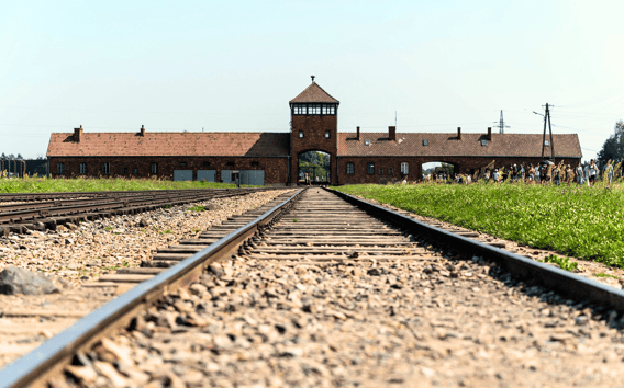 Cracovie : Excursion d'une journée à Auschwitz-Birkenau avec personnel accompagnant