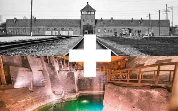 Cracovie : Visite guidée d'Auschwitz-Birkenau et de la mine de sel