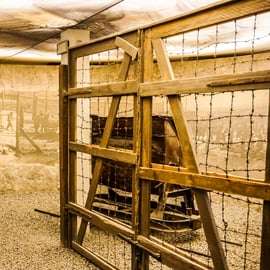 Cracovie : L'usine d'Oskar Schindler : billet coupe-file