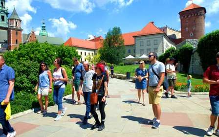 Cracovie : Visite guidée du château de Wawel avec billets d'entrée