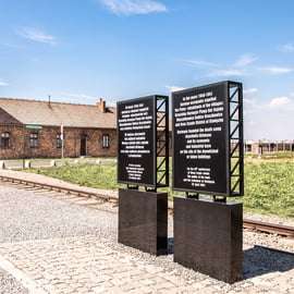 Auschwitz-Birkenau et la mine de sel de Wieliczka : Excursion d'une journée et déjeuner