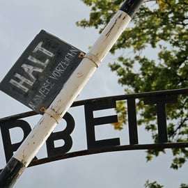 Au départ de Cracovie : Visite guidée d'Auschwitz Birkenau et de la mine de sel
