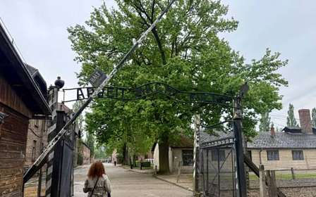 Depuis Cracovie : visite d'Auschwitz-Birkenau