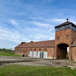 Depuis Cracovie : visite d'Auschwitz-Birkenau