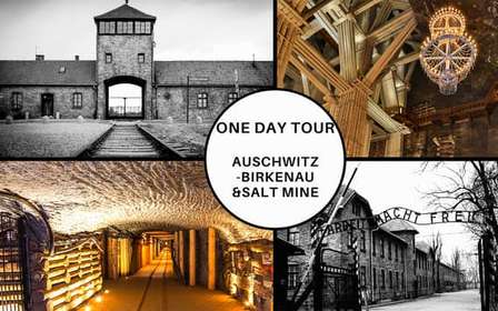 Cracovie : Visite d'Auschwitz-Birkenau et de la mine de sel en jounée guidée