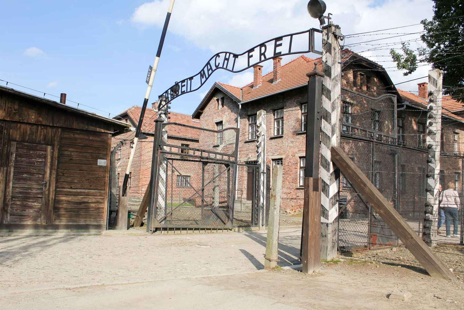 Depuis Cracovie : visite guidée du mémorial d'Auschwitz-Birkenau