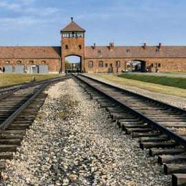 Depuis Cracovie : Visite privée du Mémorial d'Auschwitz-Birkenau