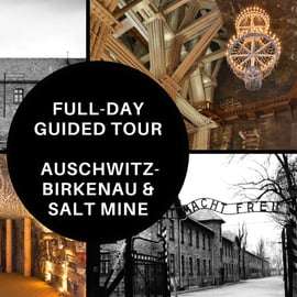 Au départ de Cracovie : Visite guidée d'Auschwitz Birkenau et de la mine de sel