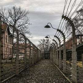 Depuis Cracovie : Visite privée du Mémorial d'Auschwitz-Birkenau