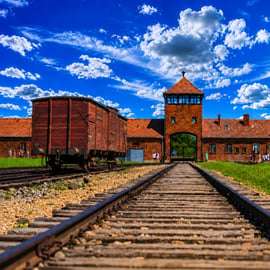 Depuis Cracovie : Excursion d'une journée à Auschwitz-Birkenau avec transport