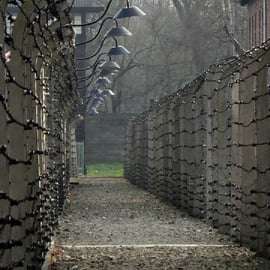 Au départ de Cracovie : Visite guidée d'Auschwitz Birkenau et de la mine de sel