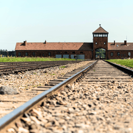 Cracovie : Excursion d'une journée à Auschwitz-Birkenau avec personnel accompagnant