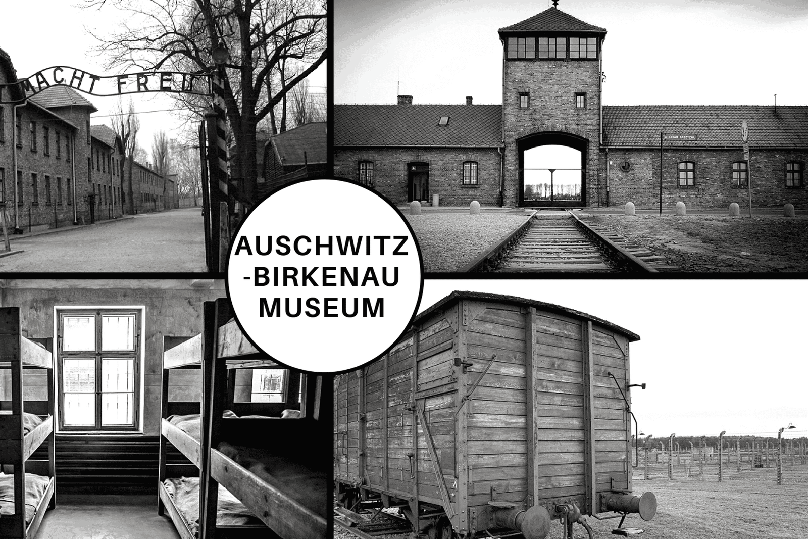 Visite guidée d'Auschwitz-Birkenau et transfert depuis Cracovie