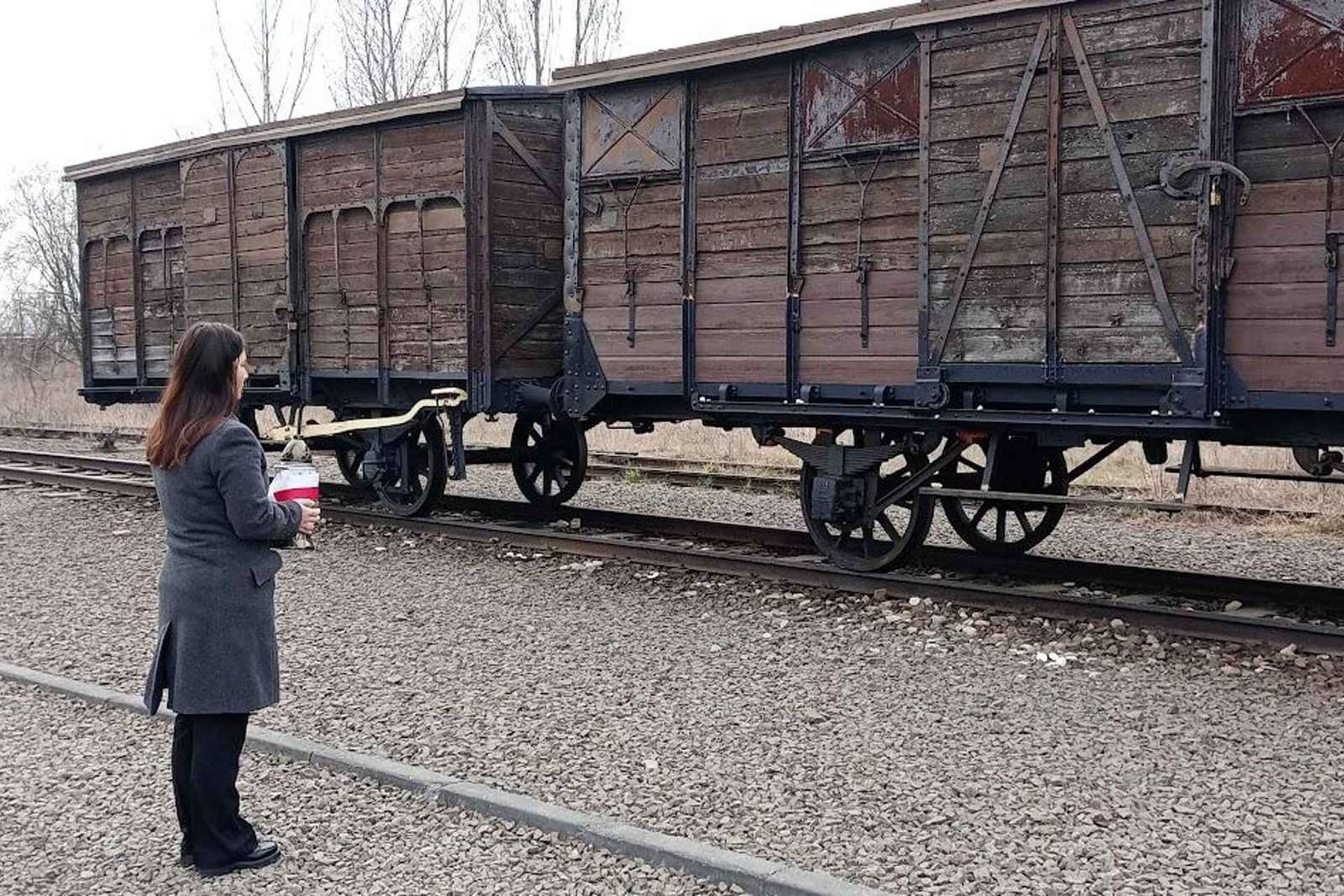 Depuis Cracovie : visite alternative du complexe d'Auschwitz