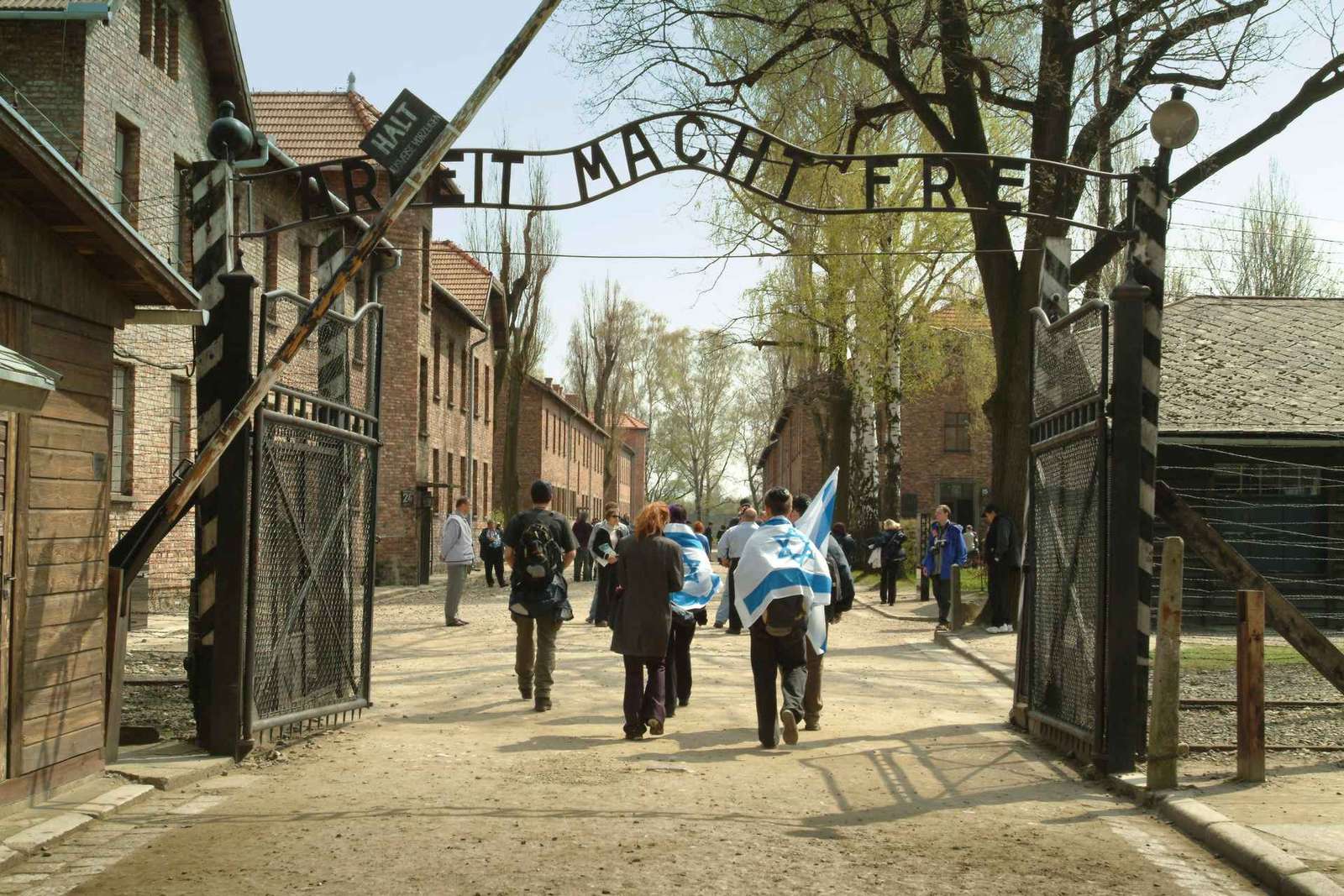 Depuis Cracovie : Visite du Mémorial et du Musée d'Auschwitz-Birkenau