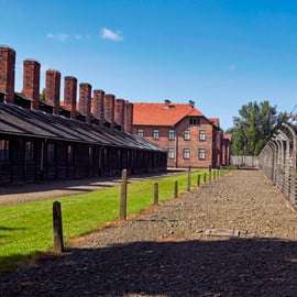 Cracovie : Visite guidée d'Auschwitz avec déjeuner facultatif et prise en charge