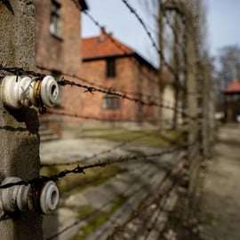 Depuis Cracovie : excursion d'une journée à Auschwitz-Birkenau