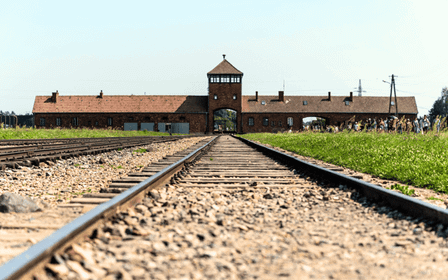 Cracovie : Excursion d'une journée à Auschwitz-Birkenau avec personnel accompagnant