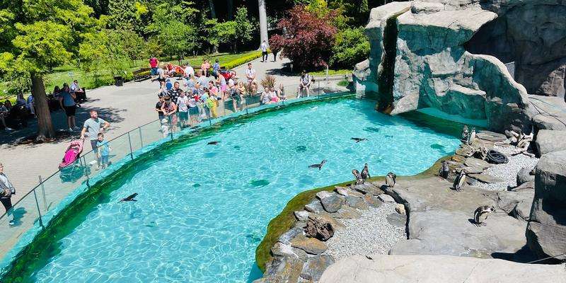 Jardins Zoologiques