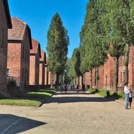 Depuis Cracovie : Visite du Mémorial et du Musée d'Auschwitz-Birkenau