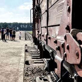 Cracovie : Visite guidée d'Auschwitz-Birkenau Prise en charge et options de déjeuner